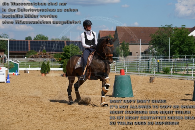 s_K3F06954.JPG